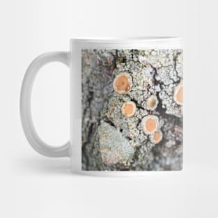 Lichen on a tree bark Mug